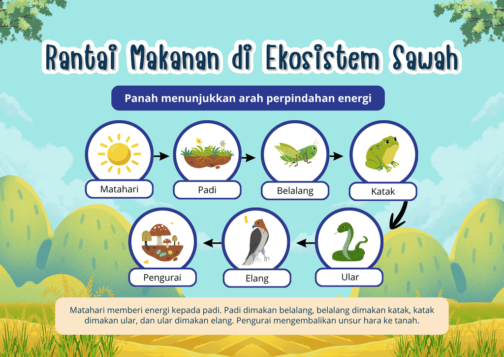 peraga konsep IPA untuk materi