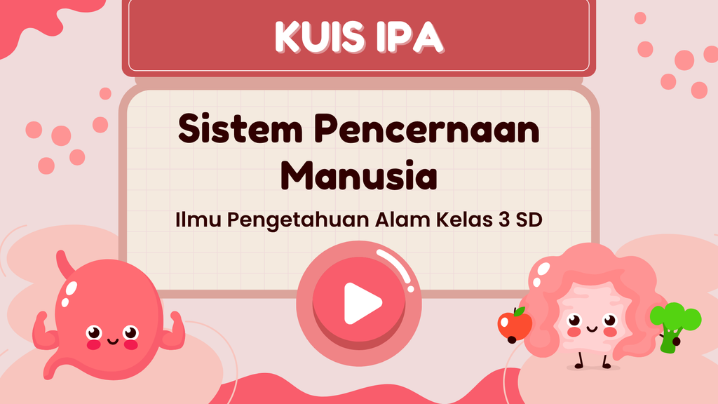 kit pembelajaran pencernaan manusia