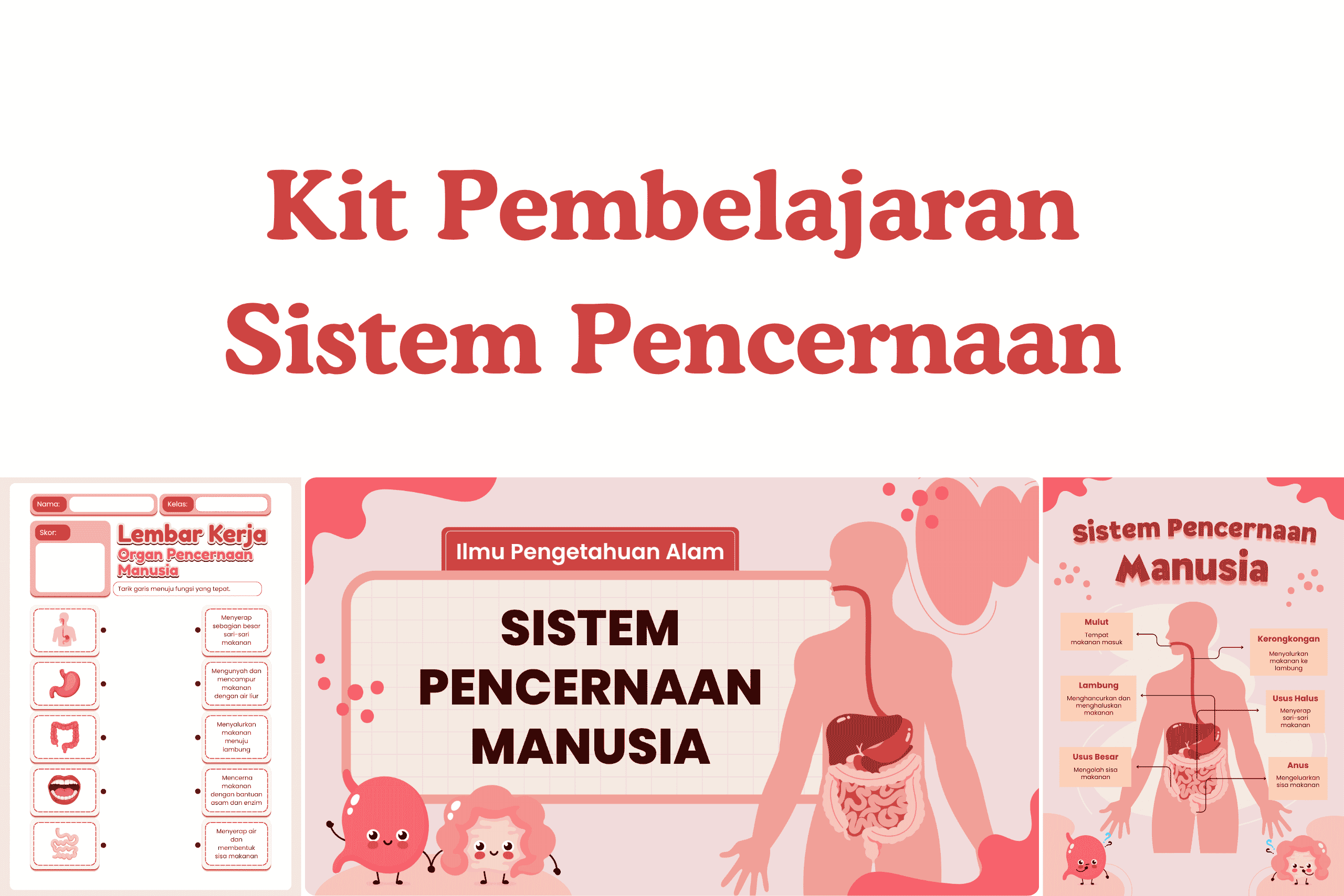 Gambar artikel: Kit Pembelajaran Pencernaan Manusia Berbasis Media Visual