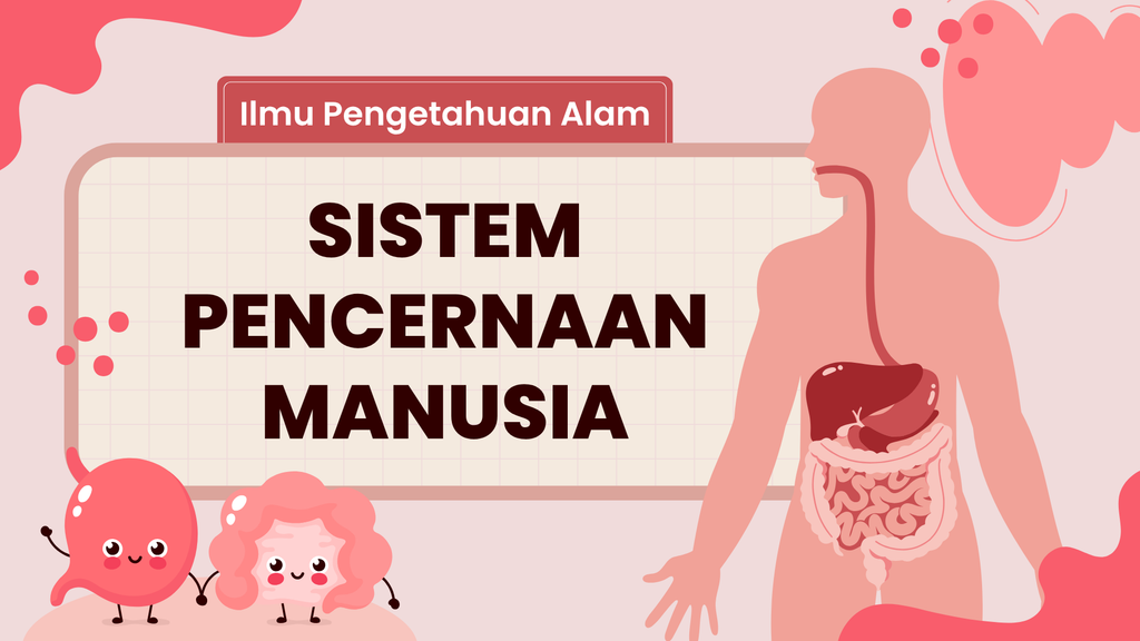 kit pembelajaran pencernaan manusia